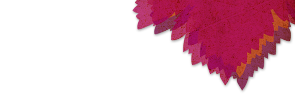 leaf