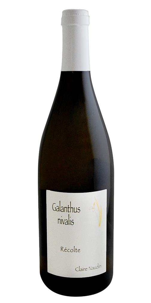 Pinot Blanc "Galanthus Nivalis," Claire Naudin