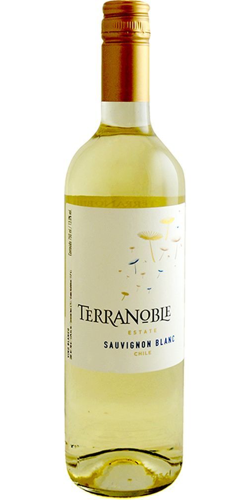 Terranoble Sauvignon Blanc