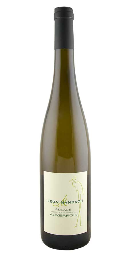 Auxerrois, Manbach