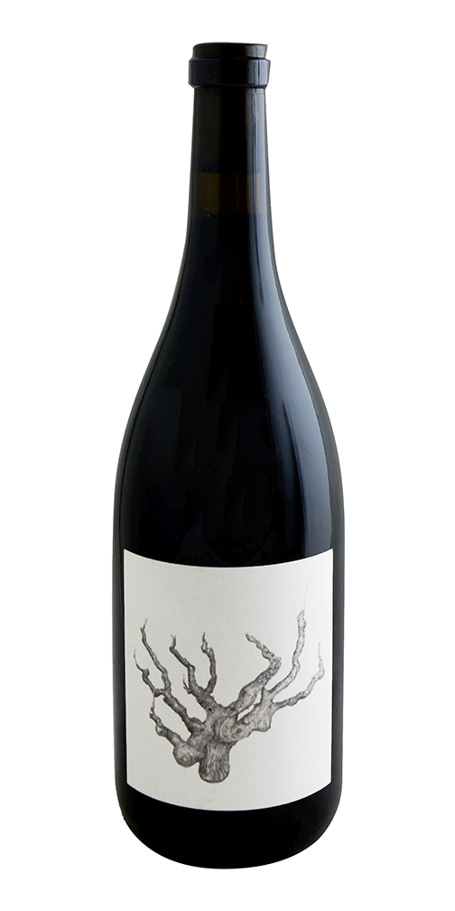 Broc Cellars, Old Vine Carignan