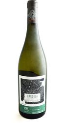 "Haroula" White, Argatía                                                                            