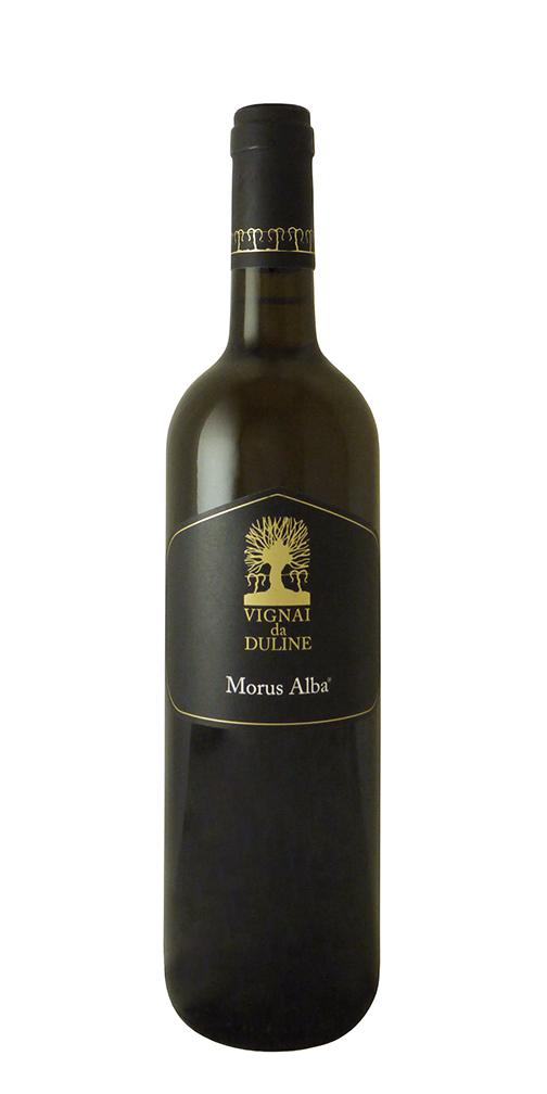 Morus Alba, Vigna da Duline