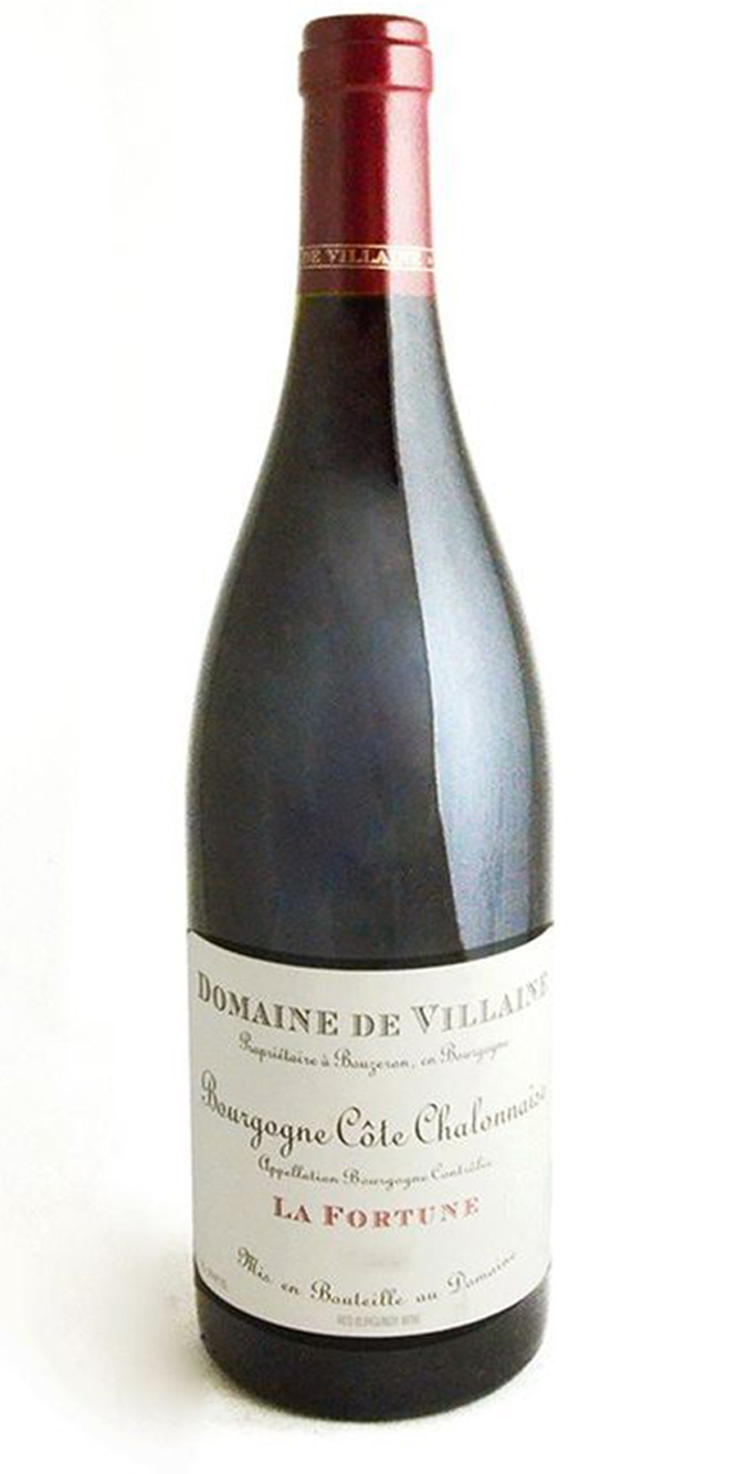 Bourgogne Rouge "La Fortune," Dom. de Villaine