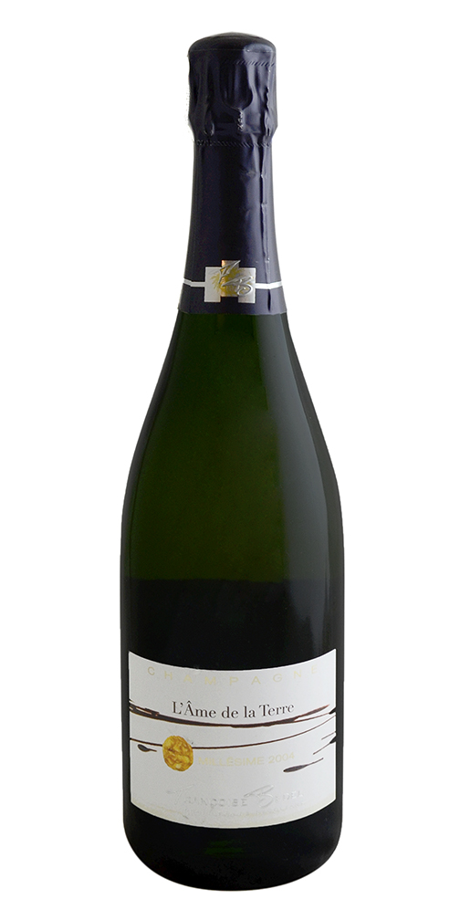 Françoise Bedel "L'Ame de la Terre" Brut