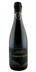 Lambrusco Salamino "Rosso Viola", Vigneto Saetti