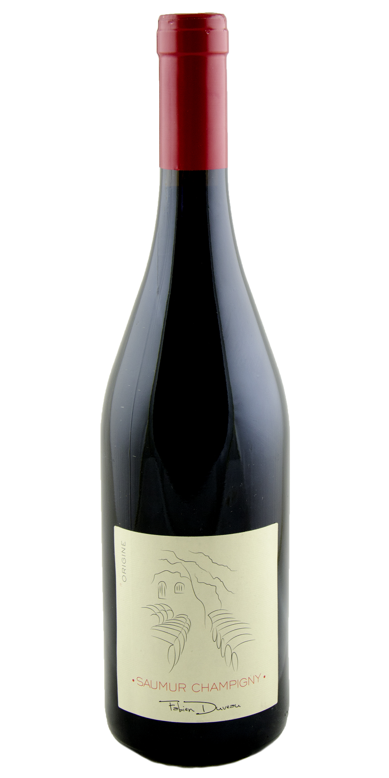 Saumur-Champigny "Origine," Fabien Duveau