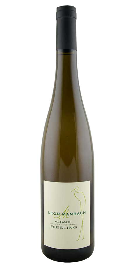 Riesling, Manbach