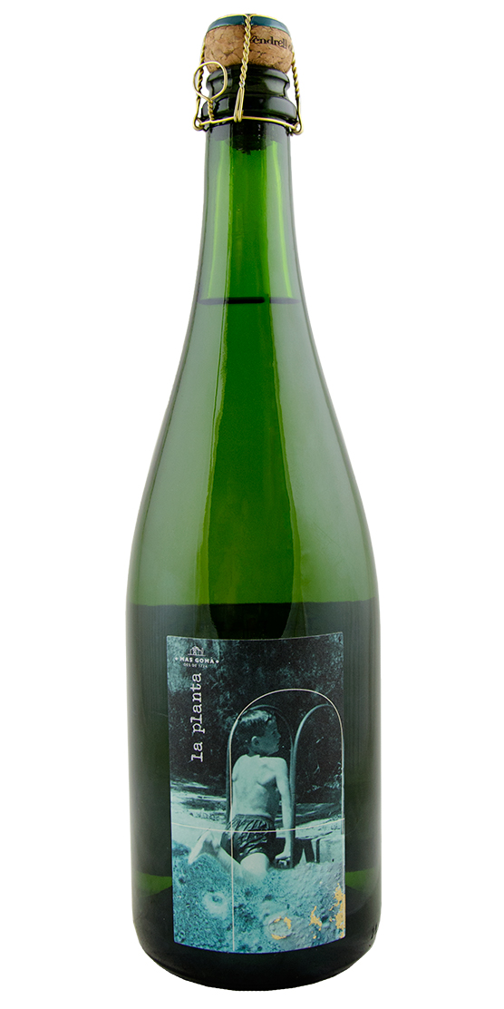 Mas Gomà, La Planta Brut