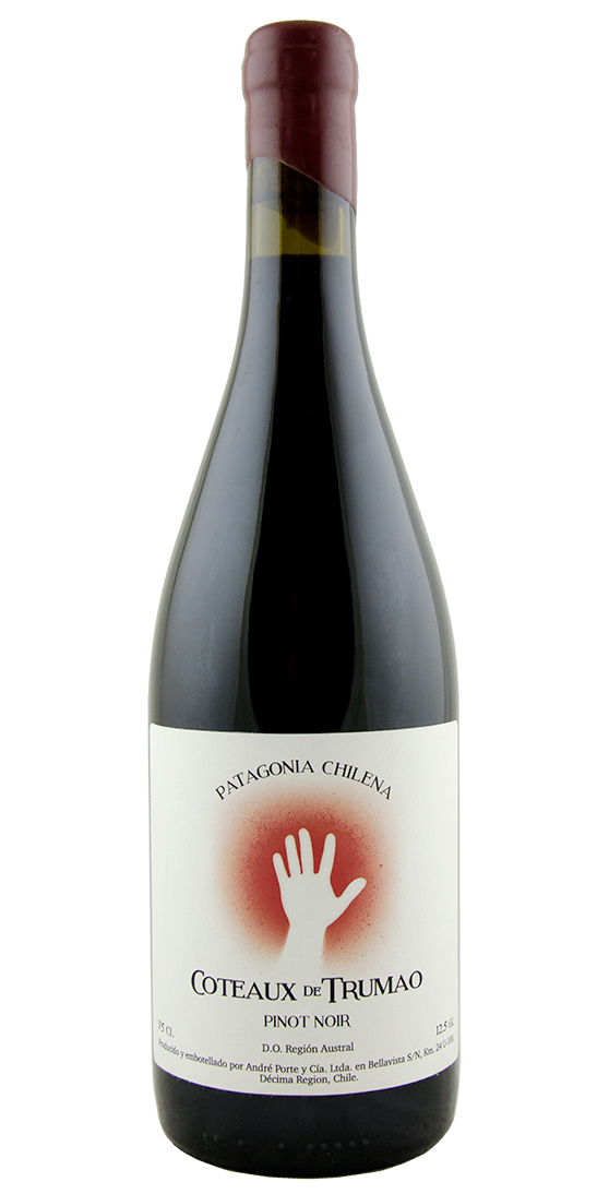 Indtægter Rummet Populær Coteaux de Trumao, Pinot Noir | Astor Wines & Spirits