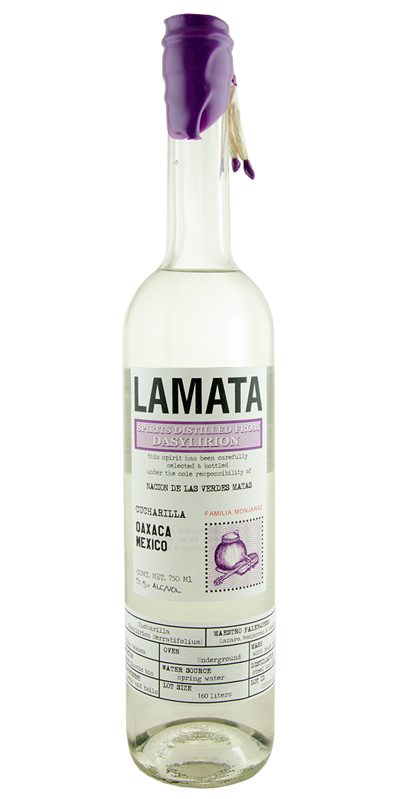 Lamata Cucharilla Oaxaca Sotol