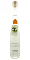 Capovilla Apricot Eau de Vie