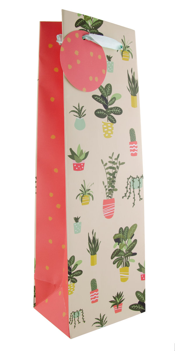 House Plants 1 Btl Wine Bag(10454)                                                                  