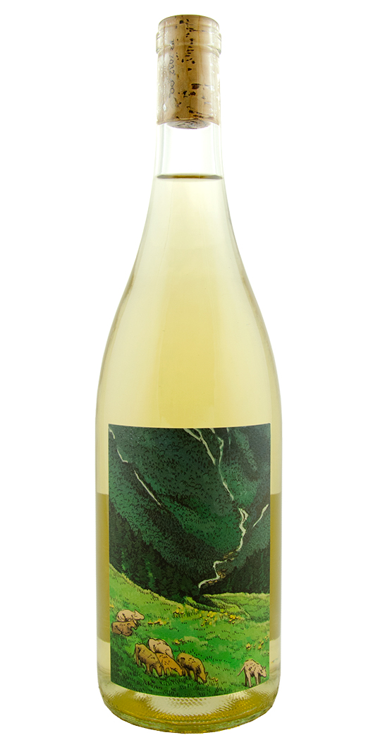 Kelley Fox, Grüner Veltliner