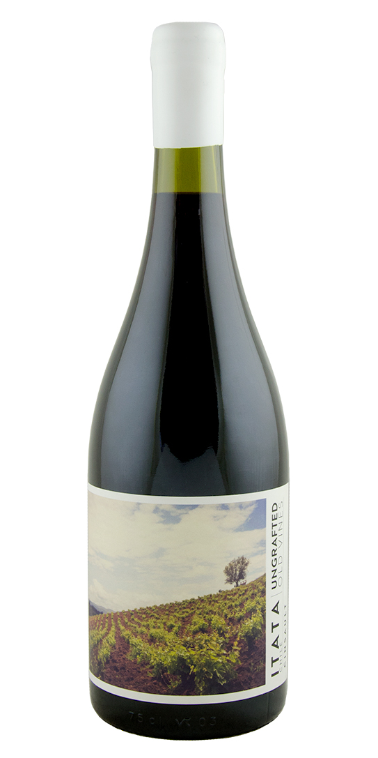 De Martino, Ungrafted Cinsault, Itata