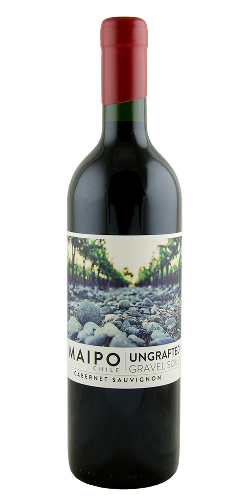 De Martino, Ungrafted Cabernet Sauvignon, Maipo