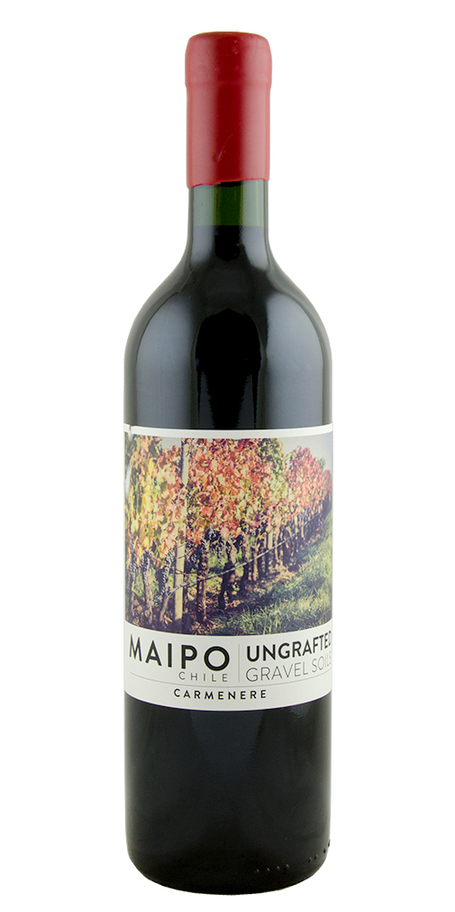 De Martino, Ungrafted Carmenère, Maipo 