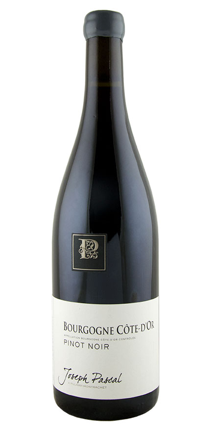 Bourgogne Pinot Noir Côte d'Or, Joseph Pascal                                                       
