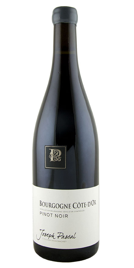 Bourgogne Pinot Noir Côte d'Or, Joseph Pascal