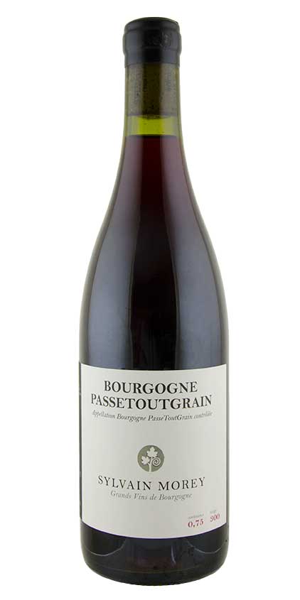 Bourgogne Passetoutgrain, Sylvain Morey