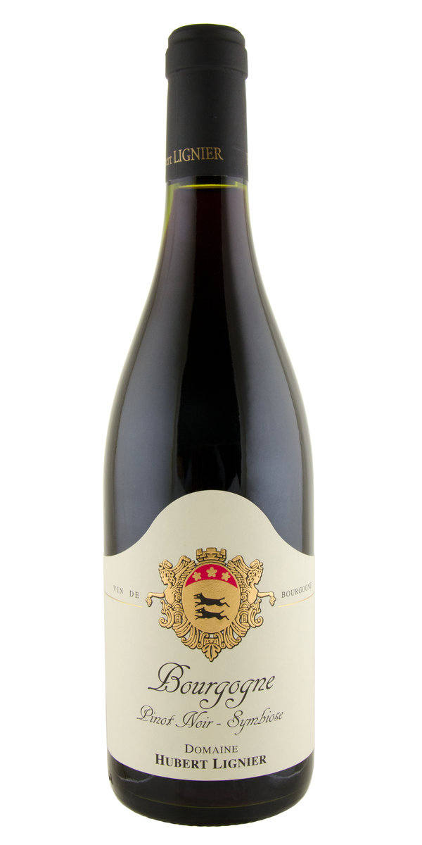 Pommard Vieilles Vignes, Vincent Girardin | Astor Wines & Spirits